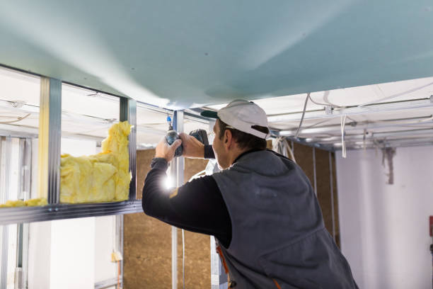Best Residential Insulation in Laurel Lake, NJ