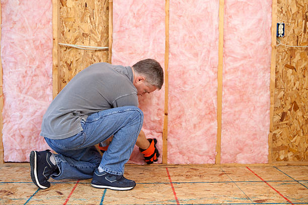Best Spray Foam Insulation in Laurel Lake, NJ